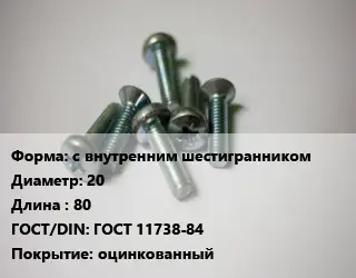 Винт с внутренним шестигранником 20х80 ГОСТ 11738-84 оцинкованный
